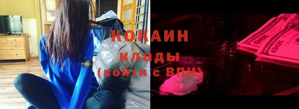 прущие крисы Бородино