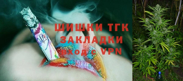 прущие крисы Бородино