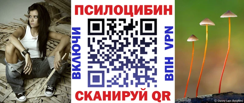 даркнет сайт  дарк нет клад  Галлюциногенные грибы мухоморы  Гаврилов-Ям 